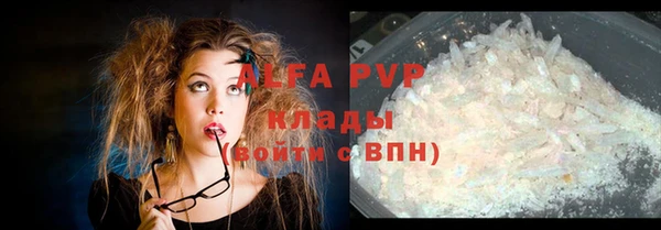 гидра Алексин