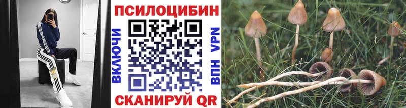 Галлюциногенные грибы GOLDEN TEACHER  сайты даркнета телеграм  Магнитогорск 