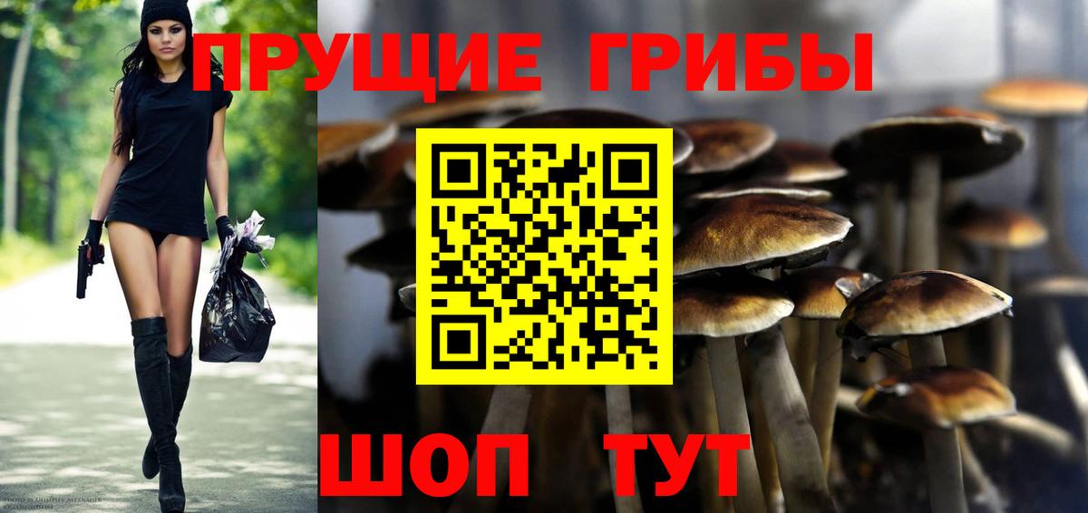 Галлюциногенные грибы Psilocybine cubensis  Вход с VPN  Магнитогорск 