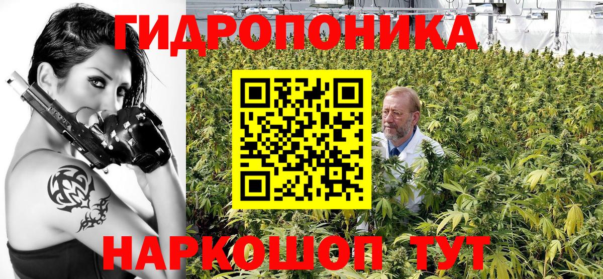 Конопля планчик Магнитогорск